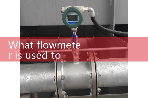 Vortex flowmeter for measuring steam